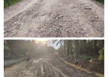 Pengendara Bermotor Sering Jatuh, Warga Desa Kaderesan Panjang Minta Pemerintah Merangin Segera Lakukan Perbaikan Jalan