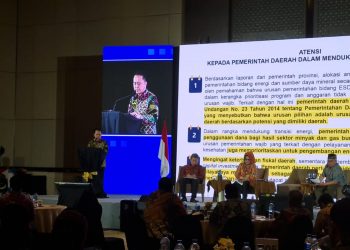 Kemendagri Minta Pemda Anggarkan Pembiayaan Energi Terbarukan Pada RAPBD 2023