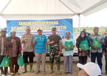Bupati Tanjab Barat Hadiri Tanam Padi Perdana