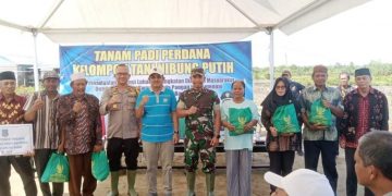 Bupati Tanjab Barat Hadiri Tanam Padi Perdana