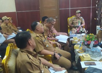 Wabup Merangin : BUMD dan PKS Jadi Bapak Asuh Stunting