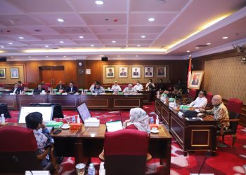 Menteri PANRB Kebut Detilkan Opsi Penataan Tenaga Non-ASN Bareng Asosiasi Pemda 
