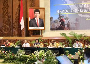 Potensi Kemarau Panjang  Pada Tahun 2023, BNPB Siapkan Strategi Pencegahan Karhutla 