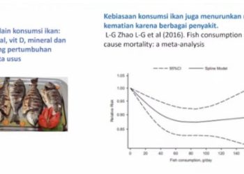 Protein Hewani Efektif Cegah Anak Alami Stunting