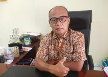 Wujudkan RTH 30 Persen, Dinas LH Merangin Rencanakan Akan Membangun di Taman PKK