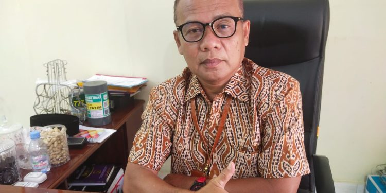 Wujudkan RTH 30 Persen, Dinas LH Merangin Rencanakan Akan Membangun di Taman PKK