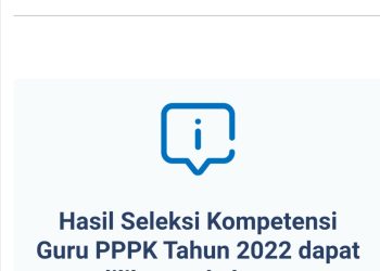 Panselnas Umumkan Hasil Seleksi Penerimaan ASN PPPK Guru Tahun 2022