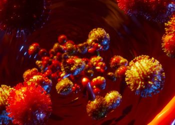 Antisipasi Virus Marburg Menyebar Ke Indonesia, Kemenkes Minta Masyarakat Waspada