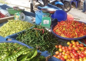 Puasa Ramadhan 1444 H Masuk Hari Ke-11,  Harga Cabe Merah di Merangin Turun, Bahan Kebutuhan Dapur lain Stabil