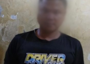 Cabuli Keponakannya Sendiri, MN Warga Desa Danau Merangin Nyaris Diamuk Massa