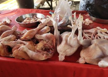 Harga Ayam Potong dan Telur Ayam Buras di Kabupaten Merangin Melambung Naik