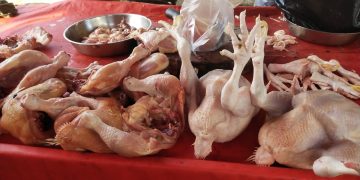Harga Ayam Potong dan Telur Ayam Buras di Kabupaten Merangin Melambung Naik