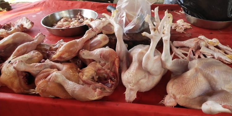Harga Ayam Potong dan Telur Ayam Buras di Kabupaten Merangin Melambung Naik