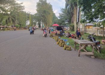 Pedagang Durian Mulai Menjamur di Kabupaten Merangin, Pembeli Semakin Banyak 