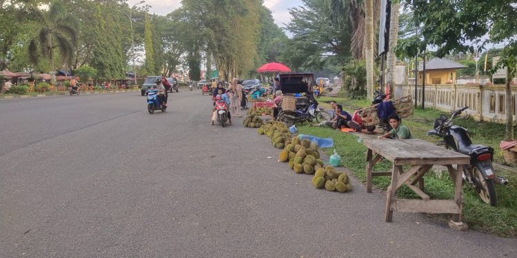 Pedagang Durian Mulai Menjamur di Kabupaten Merangin, Pembeli Semakin Banyak