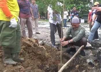 Bupati Merangin Tanam Pohon di Taman Tugu Adipura