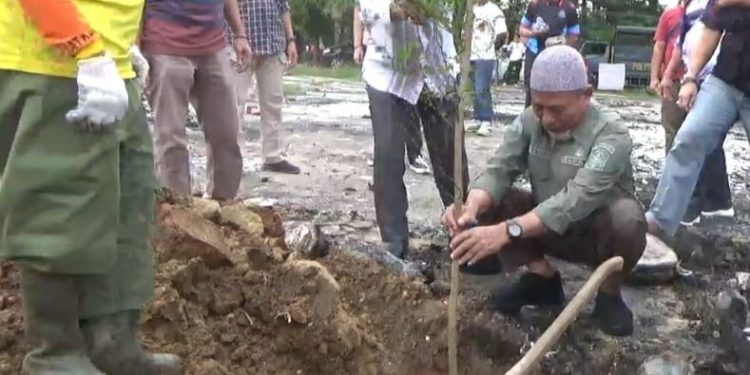 Bupati Merangin Tanam Pohon di Taman Tugu Adipura
