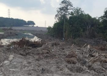 Kadis LH Kota Jambi: Kami tidak Pegang Dokumen Untuk Amdal Stockpile BB Milik PT. SAS, Itu Wewenang Pemprov Jambi