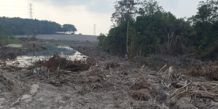 Kadis LH Kota Jambi: Kami tidak Pegang Dokumen Untuk Amdal Stockpile BB Milik PT. SAS, Itu Wewenang Pemprov Jambi