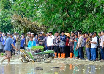 Wagub Sani Tanam Padi Bersama Kelompok Tani Desa Pasar Pelawan