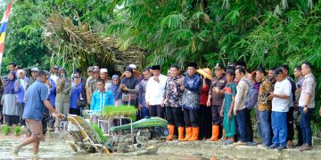Wagub Sani Tanam Padi Bersama Kelompok Tani Desa Pasar Pelawan