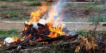 Camat Kumpeh Ulu Berharap Masyarakat Jangan Bakar Sampah Sembarangan yang Menyebabkan Kebakaran