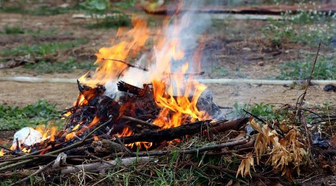 Camat Kumpeh Ulu Berharap Masyarakat Jangan Bakar Sampah Sembarangan yang Menyebabkan Kebakaran
