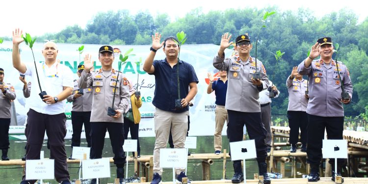 Ulang Tahun Ke-72, Humas Polri Tanam Mangrove Untuk Pelestarian Lingkungan