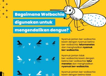 Kemenkes Sampaikan dengan Inovasi Wolbachia, Cara Ampuh dan Hemat Kendalikan Demam Berdarah