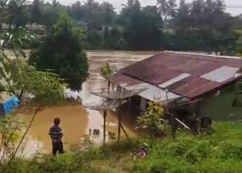 Air Sungai Merangin dan Batang Mesumai Meluap, Rumah Masyarakat Terendam