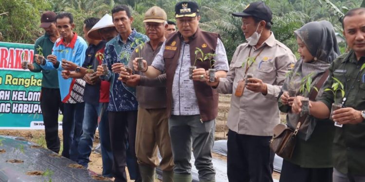 Pj Bupati Merangin Canangkan Gerakan Tanam Cabe di Desa Tanjung Benuang 
