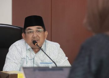 Bupati Tanjab Barat Lakukan Audiensi dengan Bappenas RI