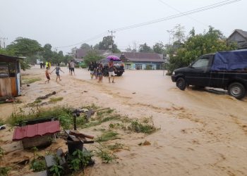 Banjir dan Longsor di Kabupaten Luwu, Total 14 Warga Meninggal Dunia