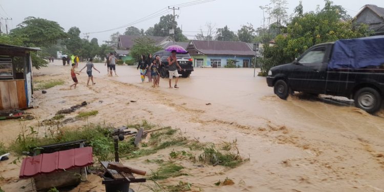 Banjir dan Longsor di Kabupaten Luwu, Total 14 Warga Meninggal Dunia