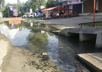 Genangan Air di Jalan Tiga Jalur Depan Pertokoan Merangin Mulai Muncul Lumut dan Berubah Warna, Masyarakat Minta Segera di Perbaiki