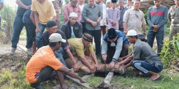 Bupati Tanjab Barat Berikan Bantuan Rp 20 Juta untuk Masjid Nurul Huda dan Satu Ekor Sapi dari Baznas Pusat