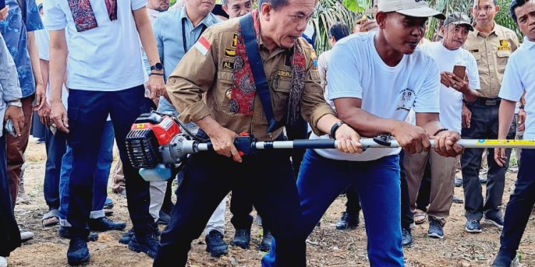 Dumiseke Perkebunan: Ciptakan Lapangan Pekerjaan Sektor Perkebunan