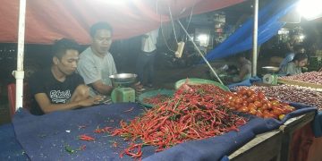 Jelang Idul Adha 1445 H, Harga Cabe Merah dan Rawit di Kabupaten Merangin Terus Naik