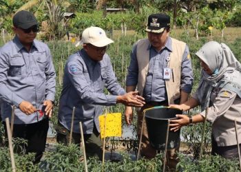 Sekolah Lapangan Pertanian dibuka Pj Bupati Merangin H Mukti