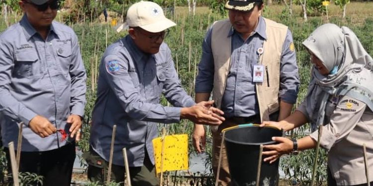 Sekolah Lapangan Pertanian dibuka Pj Bupati Merangin H Mukti
