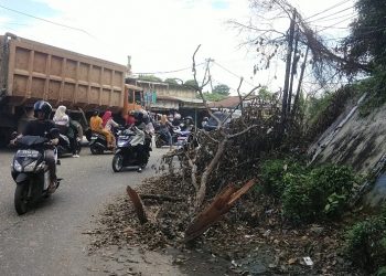 Pengendara Keluhkan Ranting Pohon di Tikungan Bukit Tiung Merangin Tumbang Belum Dibersihkan