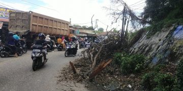 Pengendara Keluhkan Ranting Pohon di Tikungan Bukit Tiung Merangin Tumbang Belum Dibersihkan