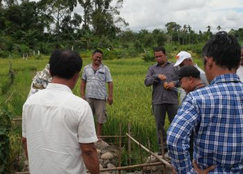 Tim Satgassus Tipikor Mabes Polri Pantau Proyek Peningkatan dan Pemeliharaan Jaringan Irigasi Tersier di Sumatera Utara