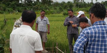 Tim Satgassus Tipikor Mabes Polri Pantau Proyek Peningkatan dan Pemeliharaan Jaringan Irigasi Tersier di Sumatera Utara