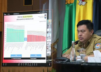 Plt. Sekjen Kemendagri Minta Pemda Perhatikan Realisasi APBD 