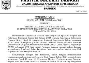 Pendaftaran CPNS 2024 di Kabupaten Merangin Resmi dibuka Mulai 20 Agustus, Ini Syarat dan Formasi di seluruh Instansi