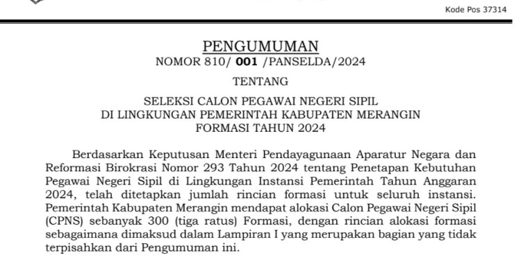 Pendaftaran CPNS 2024 di Kabupaten Merangin Resmi dibuka Mulai 20 Agustus, Ini Syarat dan Formasi di seluruh Instansi