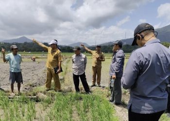 Satgassus Pencegahan Korupsi Polri Lakukan Monev di Nusa Tenggara Timur