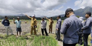 Satgassus Pencegahan Korupsi Polri Lakukan Monev di Nusa Tenggara Timur