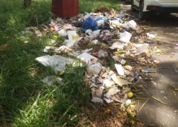 Sampah dibuang di Pinggir Jalan Jalur Tiga Merangin eks Taman PKK, Kadis LH : Masyarakat diminta Kesadaran Buang di Bak Sampah